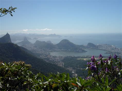 tijuca2
